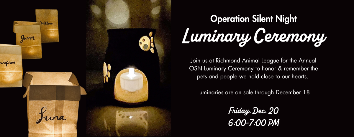 OSN 2024- Luminaries